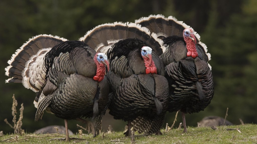 Recall Alert: Kraft Heinz Recalls 2 Million Pounds of Turkey Bacon